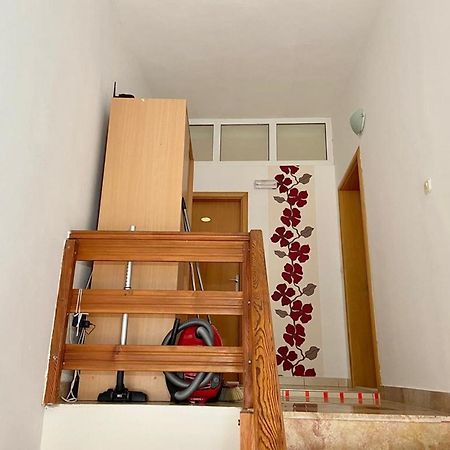 Apartments Tiho & Jelena بلاتشي المظهر الخارجي الصورة
